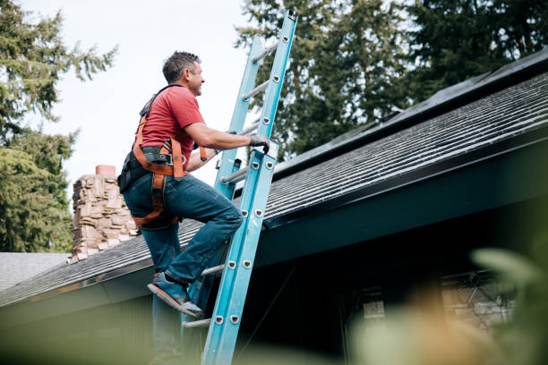 Best Roof Moss and Algae Removal  in Occoquan, VA